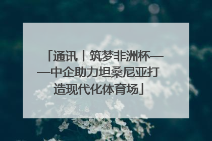 通讯丨筑梦非洲杯——中企助力坦桑尼亚打造现代化体育场