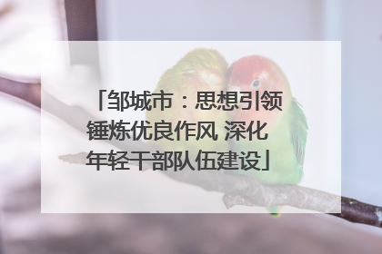 邹城市：思想引领锤炼优良作风 深化年轻干部队伍建设