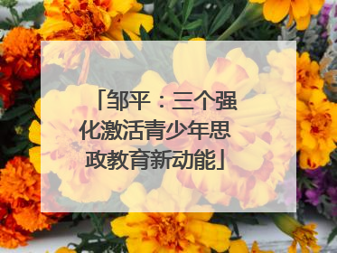 邹平：三个强化激活青少年思政教育新动能