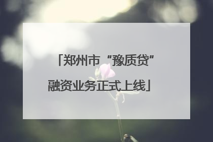 郑州市“豫质贷”融资业务正式上线