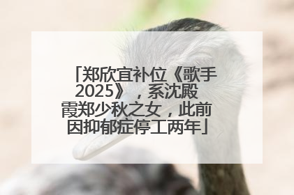 郑欣宜补位《歌手2025》，系沈殿霞郑少秋之女，此前因抑郁症停工两年