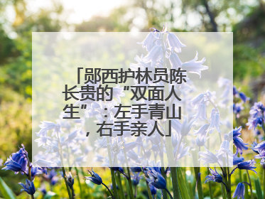 郧西护林员陈长贵的“双面人生”：左手青山，右手亲人
