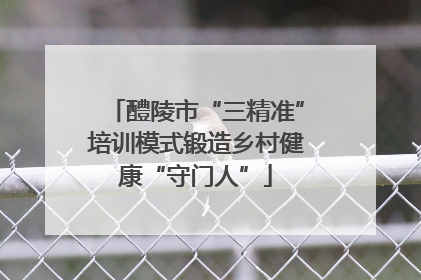 醴陵市“三精准”培训模式锻造乡村健康“守门人”