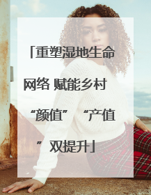 重塑湿地生命网络 赋能乡村“颜值”“产值”双提升
