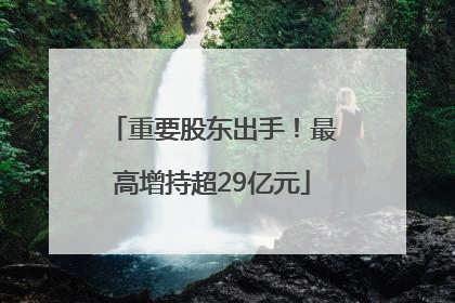 重要股东出手！最高增持超29亿元