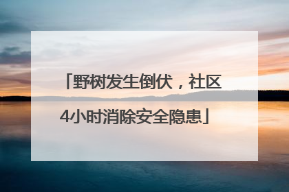 野树发生倒伏，社区4小时消除安全隐患