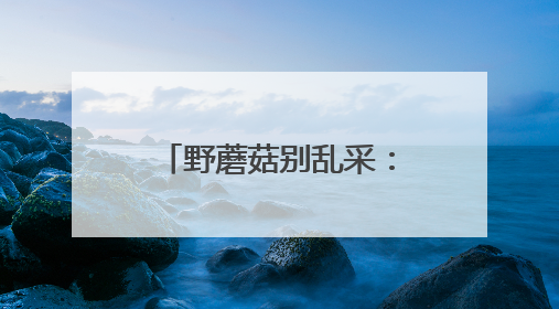 野蘑菇别乱采：西安及周边地区几乎没食用价值较大的野生菌