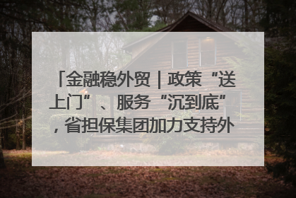 金融稳外贸｜政策“送上门”、服务“沉到底”，省担保集团加力支持外经贸高质量发展