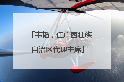 韦韬，任广西壮族自治区代理主席