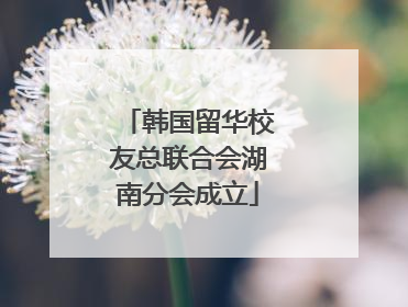 韩国留华校友总联合会湖南分会成立