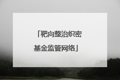 靶向整治织密基金监管网络