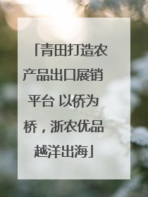 青田打造农产品出口展销平台 以侨为桥，浙农优品越洋出海