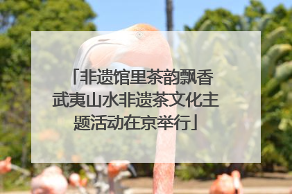 非遗馆里茶韵飘香 武夷山水非遗茶文化主题活动在京举行