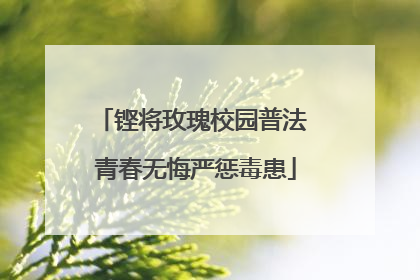 铿将玫瑰校园普法 青春无悔严惩毒患