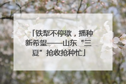 铁犁不停歇，播种新希望——山东“三夏”抢收抢种忙