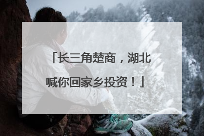 长三角楚商，湖北喊你回家乡投资！