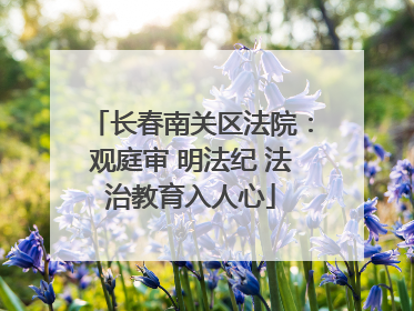 长春南关区法院：观庭审 明法纪 法治教育入人心