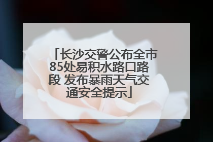 长沙交警公布全市85处易积水路口路段 发布暴雨天气交通安全提示