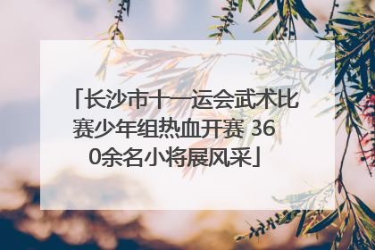 长沙市十一运会武术比赛少年组热血开赛 360余名小将展风采