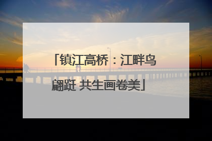 镇江高桥：江畔鸟翩跹 共生画卷美
