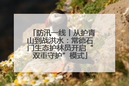 防汛一线丨从护青山到战洪水：常德石门生态护林员开启“双重守护”模式