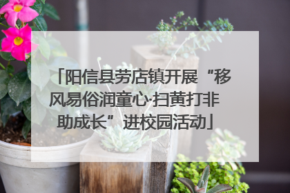 阳信县劳店镇开展“移风易俗润童心·扫黄打非助成长”进校园活动