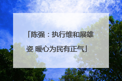 陈强：执行维和展雄姿 暖心为民有正气