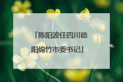 陈阳波任四川德阳绵竹市委书记