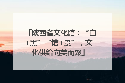 陕西省文化馆：“白+黑”“馆+景”，文化供给向美而聚