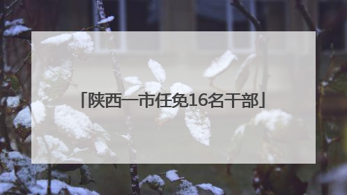 陕西一市任免16名干部