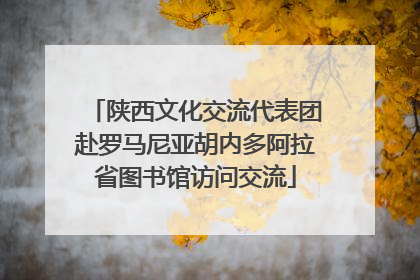 陕西文化交流代表团赴罗马尼亚胡内多阿拉省图书馆访问交流