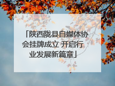 陕西陇县自媒体协会挂牌成立 开启行业发展新篇章