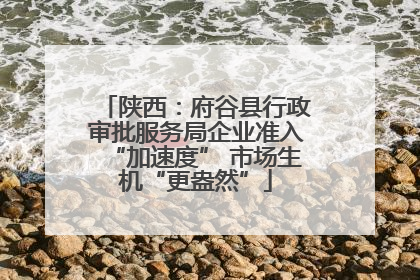 陕西：府谷县行政审批服务局企业准入“加速度” 市场生机“更盎然”