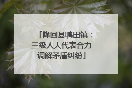 隆回县鸭田镇：三级人大代表合力调解矛盾纠纷