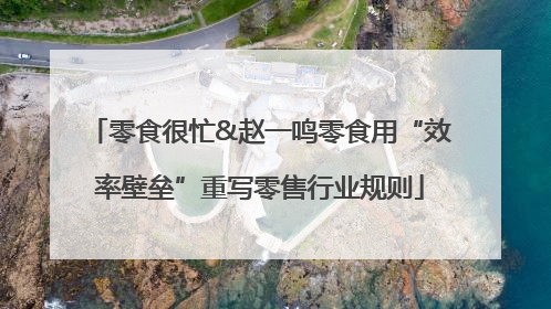零食很忙&赵一鸣零食用“效率壁垒”重写零售行业规则