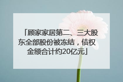 顾家家居第二、三大股东全部股份被冻结，债权金额合计约20亿元