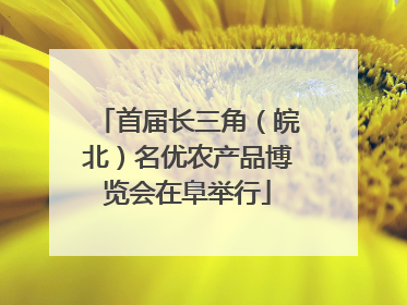 首届长三角（皖北）名优农产品博览会在阜举行