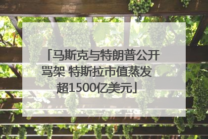 马斯克与特朗普公开骂架 特斯拉市值蒸发超1500亿美元