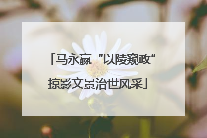马永嬴“以陵窥政” 掠影文景治世风采