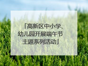 高新区中小学、幼儿园开展端午节主题系列活动