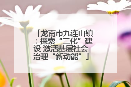 龙南市九连山镇：探索“三化”建设 激活基层社会治理“新动能”