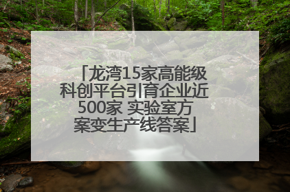 龙湾15家高能级科创平台引育企业近500家 实验室方案变生产线答案