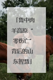 鲁中肉羊高原“零伤亡”背后的山东智慧