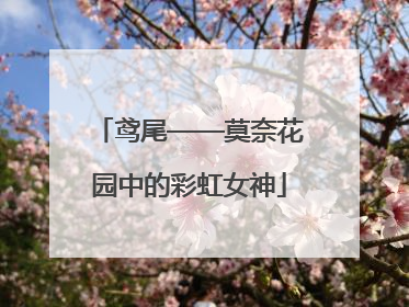 鸢尾——莫奈花园中的彩虹女神