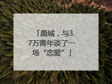 鹿城，与3.7万青年谈了一场“恋爱”