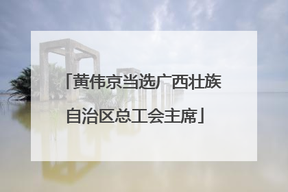 黄伟京当选广西壮族自治区总工会主席