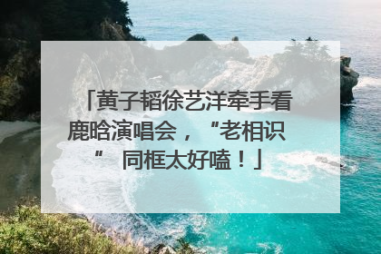 黄子韬徐艺洋牵手看鹿晗演唱会，“老相识” 同框太好嗑！