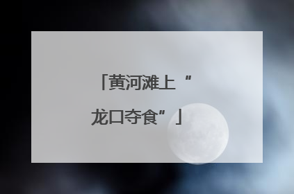黄河滩上“龙口夺食”