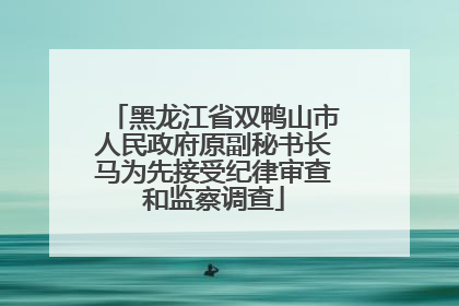 黑龙江省双鸭山市人民政府原副秘书长马为先接受纪律审查和监察调查