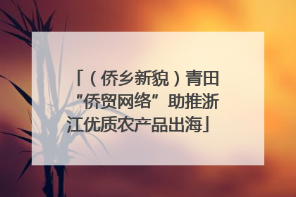 （侨乡新貌）青田“侨贸网络”助推浙江优质农产品出海